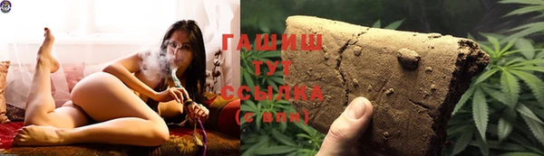 прущие грибы Медногорск