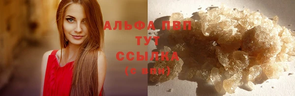 mdpv Медвежьегорск