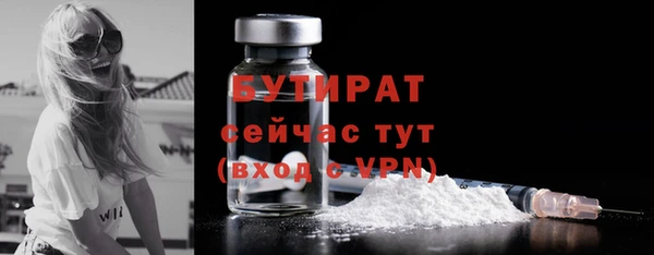 прущие грибы Медногорск