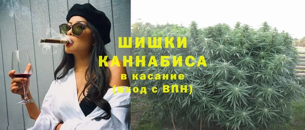 прущие грибы Медногорск