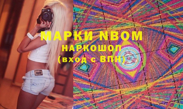 прущие грибы Медногорск