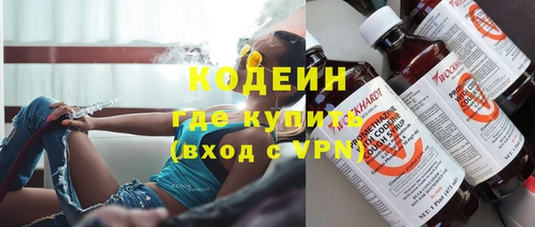 прущие грибы Медногорск