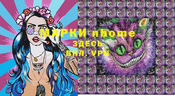 прущие грибы Медногорск