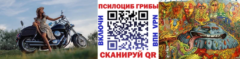 Псилоцибиновые грибы Magic Shrooms  купить закладку  hydra ССЫЛКА  Дудинка 